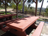 Enlarge photo 83