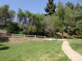 Enlarge photo 85