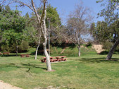 Enlarge photo 86