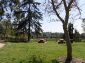 Enlarge photo 88