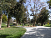 Enlarge photo 2