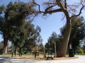 Enlarge photo 6