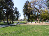 Enlarge photo 14