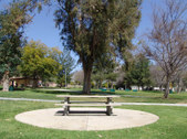 Enlarge photo 21