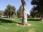 Enlarge photo 26