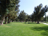 Enlarge photo 27