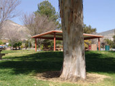 Enlarge photo 29