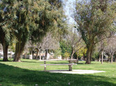 Enlarge photo 30