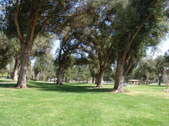 Enlarge photo 33