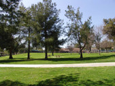 Enlarge photo 36