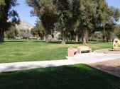 Enlarge photo 41