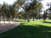 Enlarge photo 43