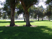 Enlarge photo 44