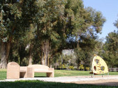 Enlarge photo 45