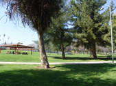 Enlarge photo 65