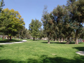 Enlarge photo 66