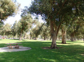 Enlarge photo 67