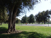 Enlarge photo 68