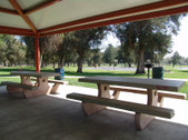Enlarge photo 73