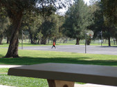 Enlarge photo 74