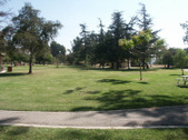 Enlarge photo 38