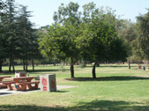 Enlarge photo 54