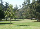 Enlarge photo 60