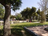 Enlarge photo 1