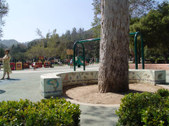 Enlarge photo 21