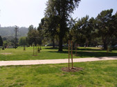Enlarge photo 50
