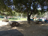 Enlarge photo 55