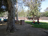 Enlarge photo 56