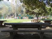 Enlarge photo 57
