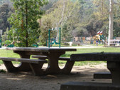 Enlarge photo 49