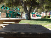 Enlarge photo 58