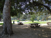 Enlarge photo 60