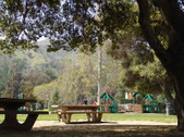 Enlarge photo 62