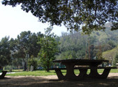 Enlarge photo 63