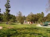 GRIFFITH PARK (01)