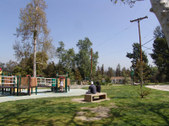 Enlarge photo 68
