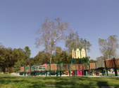 Enlarge photo 64
