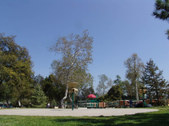 Enlarge photo 78