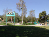 Enlarge photo 81