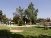 Enlarge photo 82