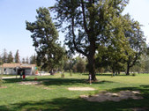 Enlarge photo 83