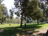 Enlarge photo 84