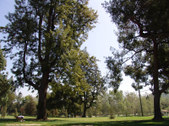 Enlarge photo 80