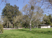 Enlarge photo 1