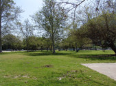 Enlarge photo 37