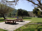Enlarge photo 38